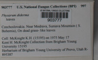 Image Associated With the Occurence